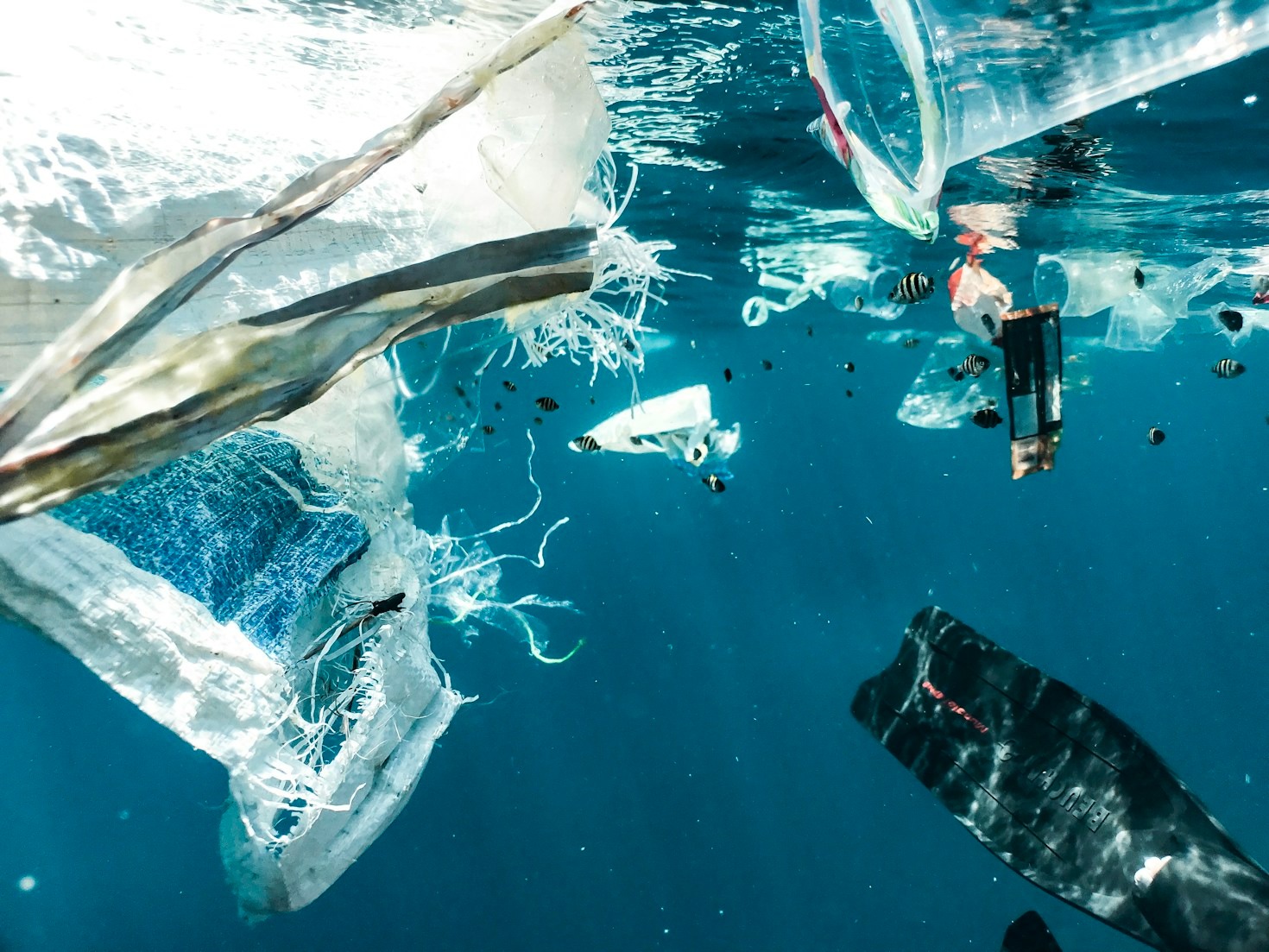 How Young Leaders Are Tackling Plastic Waste